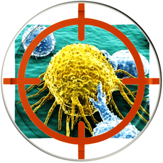 Targeted cancer therapy is a type of cancer treatment that targets the changes in cancer cells and selectively kill cancer cells with more precision and fewer side effects.