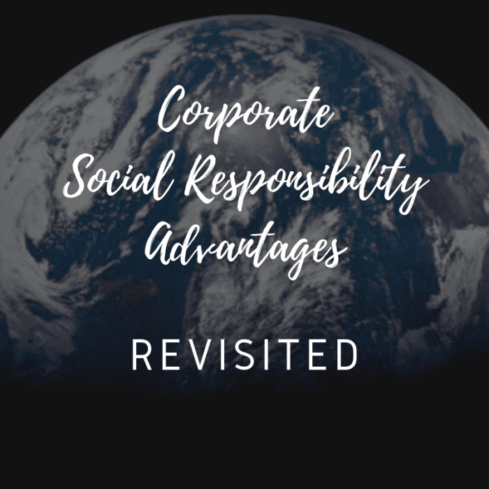 Review some observations and frustrations with the corporate social responsibility movement.