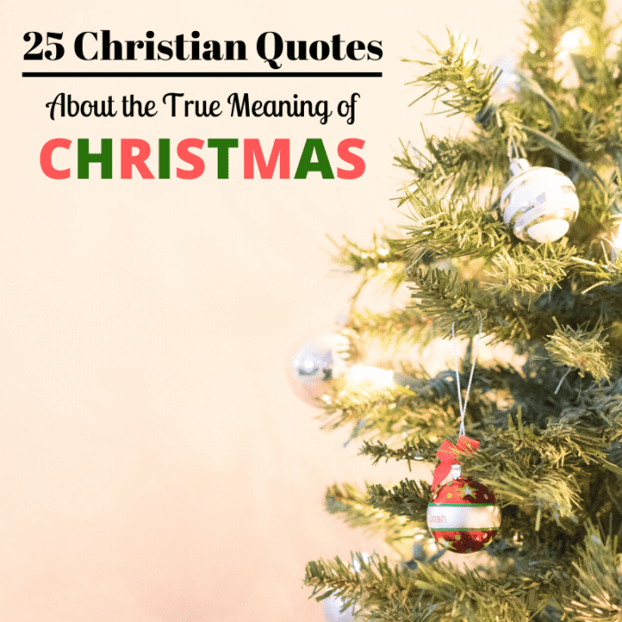 25 Christian Quotes About Christmas and Its True Meaning - Holidappy