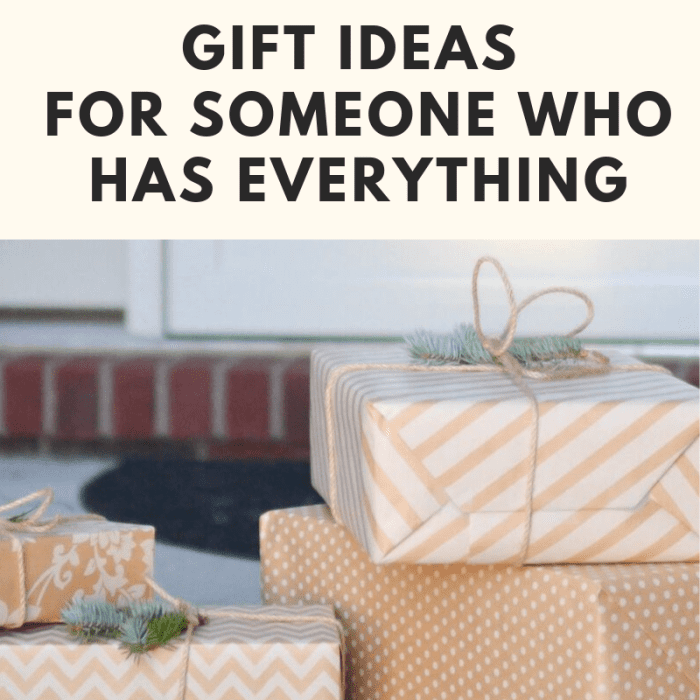 100-gifts-to-buy-someone-who-has-everything-holidappy