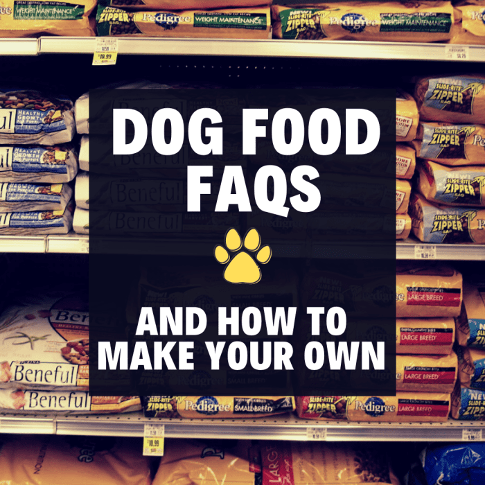 How to Find a Good Dog Food (Or Make Your Own) PetHelpful