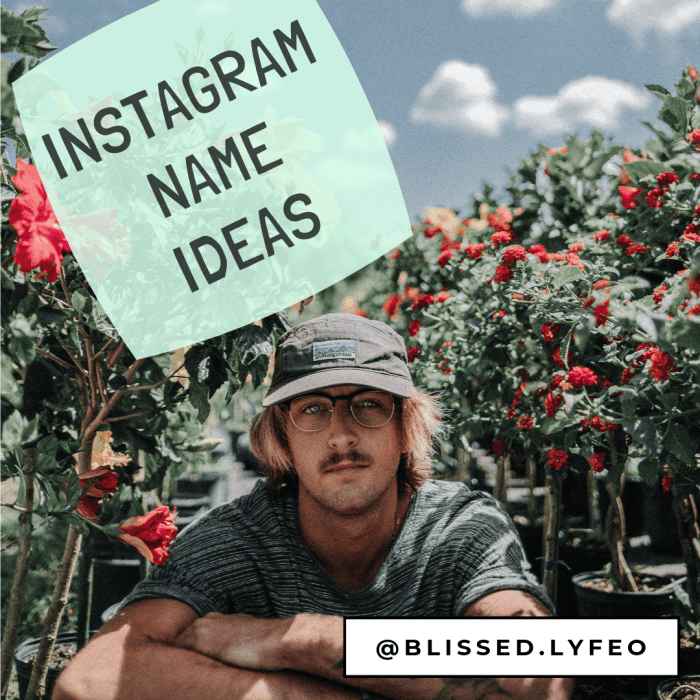 200 Creative Instagram Name Ideas And Handles For Instafame 