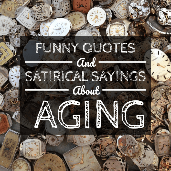 Funny Quotes And Sayings About Aging And Getting Older Holidappy