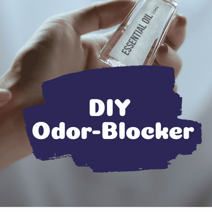 DIY Odor-Blocker