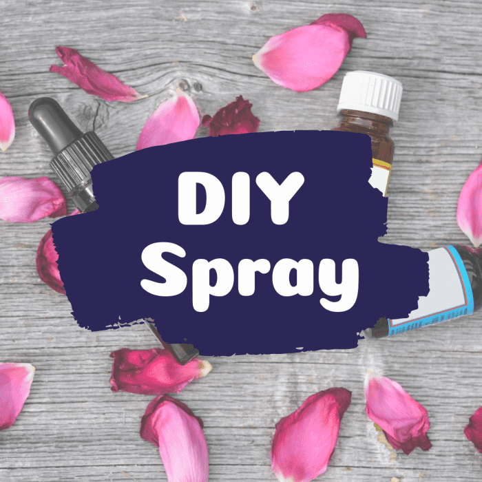 DIY Deodorizing Spray