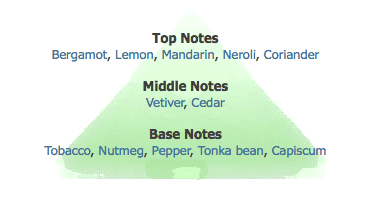 Three "notes" of a fragrance