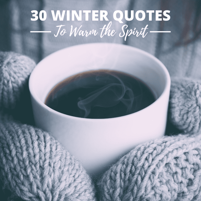 30 Winter Quotes With Warm Sentiments - HubPages