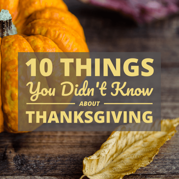 Thanksgiving is such a popular holiday that most of us take it for granted. But how much do you really know about Turkey Day and its history?