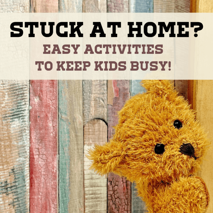 Get a bunch of ideas for easy, inexpensive activities you can do around the house when your kids are stuck at home due to social distancing or any other restriction. Playing stuffed animal hide and seek is just one idea!