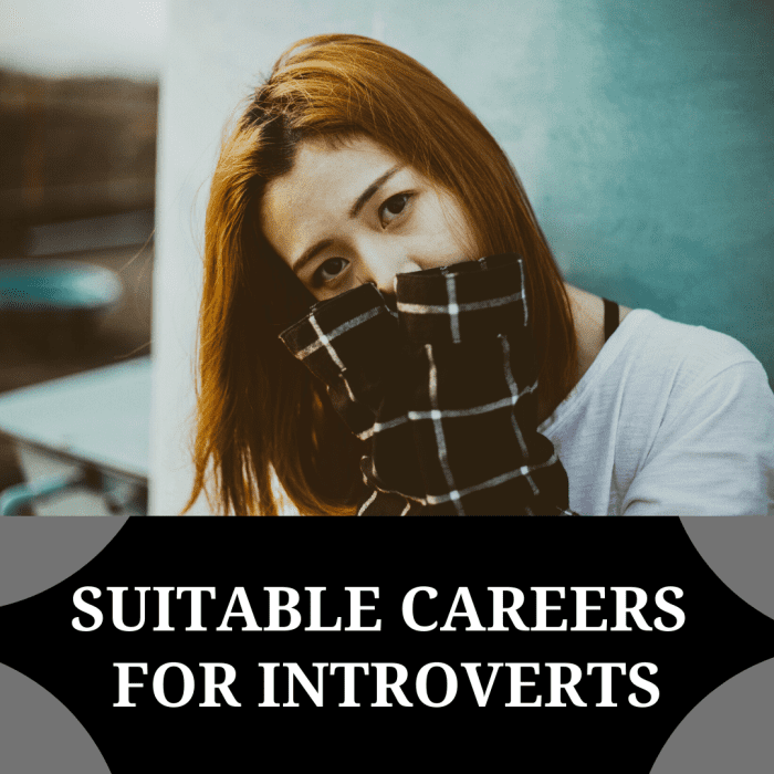 Best Business Jobs For Introverts