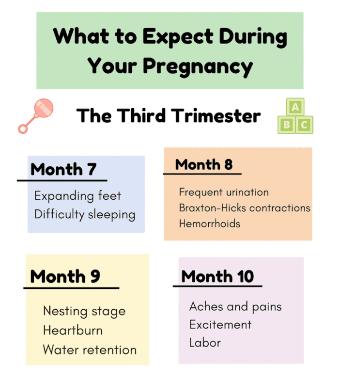 How Far Along Am I In My Pregnancy Your Week By Week Pregnancy