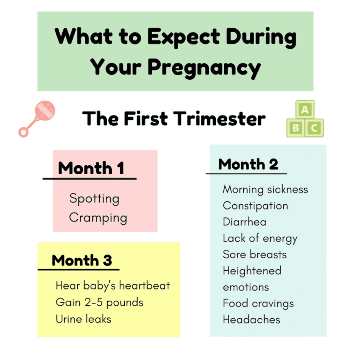 How Far Along Am I in My Pregnancy? Your Week-By-Week Pregnancy ...