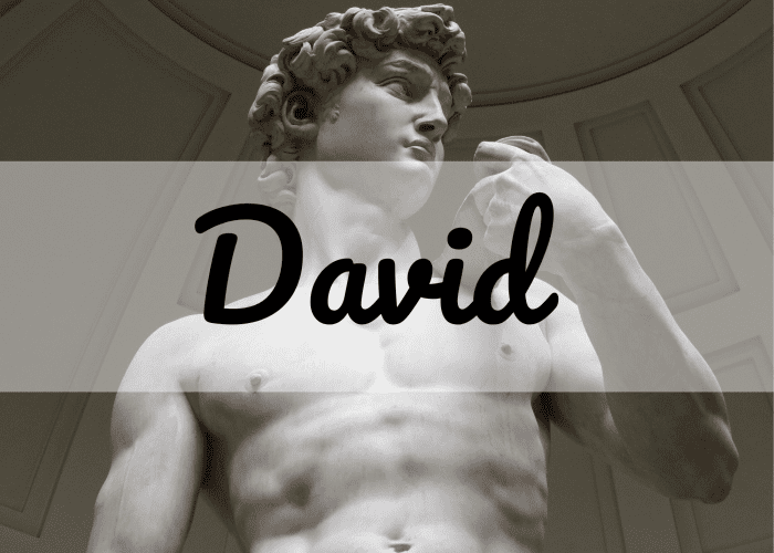 David is a classic name that has been ranked as the most popular boys' name in the United States in the past.