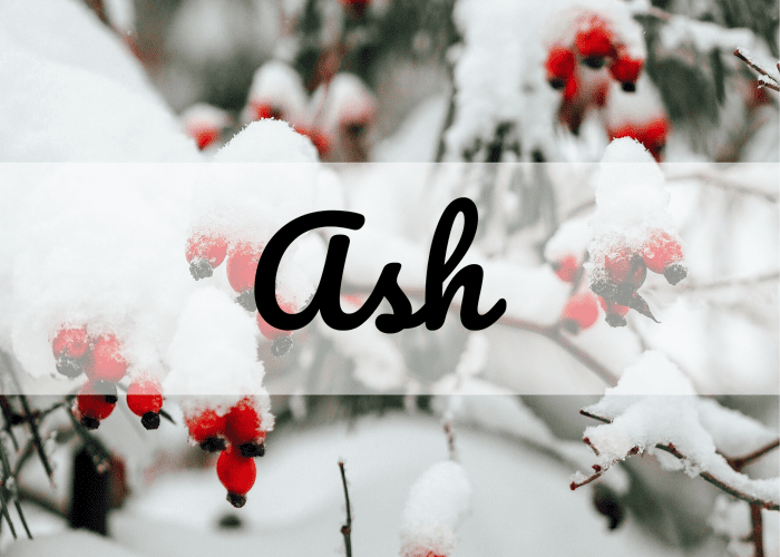 30+ February Baby Name Ideas for Girls and Boys WeHaveKids