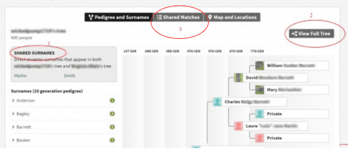 1) If you have SHARED SURNAMES, click on each of those for clues (dates, locations). 2) Then take a look at the full tree to see any way that it aligns with your ancestors. 3) Then click on SHARED MATCHES to see others that match the two of you.