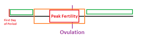 You can see from the chart that there are 2 times of minimum fertility - during and shortly after your period and at the end of your cycle. However this really depends on you KNOWING when you ovulate.
