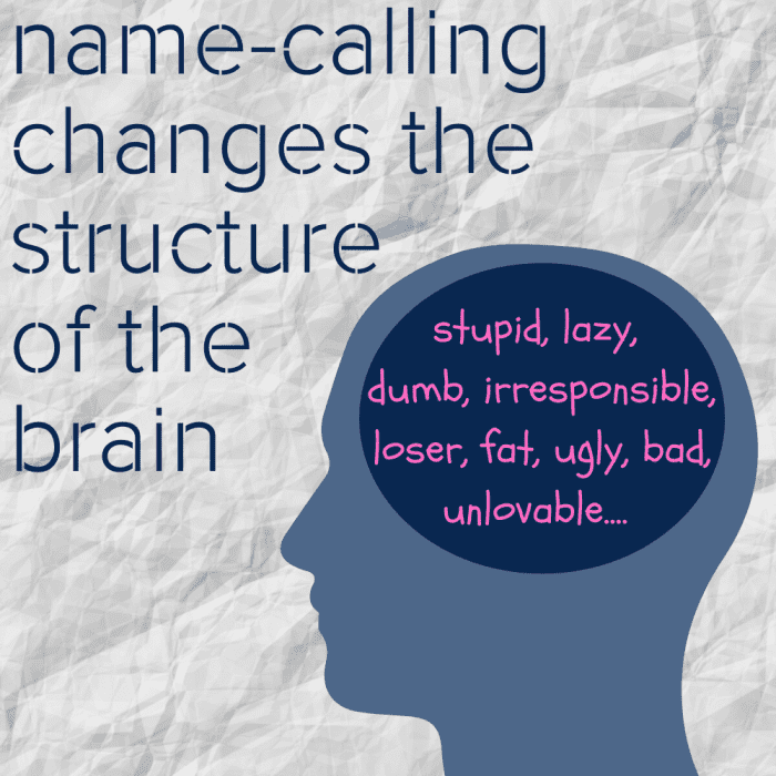Contrary to popular belief, name-calling and other forms of verbal mistreatment can be as detrimental as physical and sexual abuse.