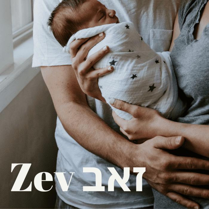 150+ Hebrew Names for Boys From Asher to Zev WeHaveKids