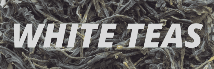 Starbucks only offers one variety of hot white tea.
