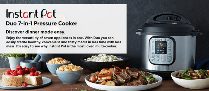 whats-wrong-with-the-instant-pot-ip-du060-pressure-cooker