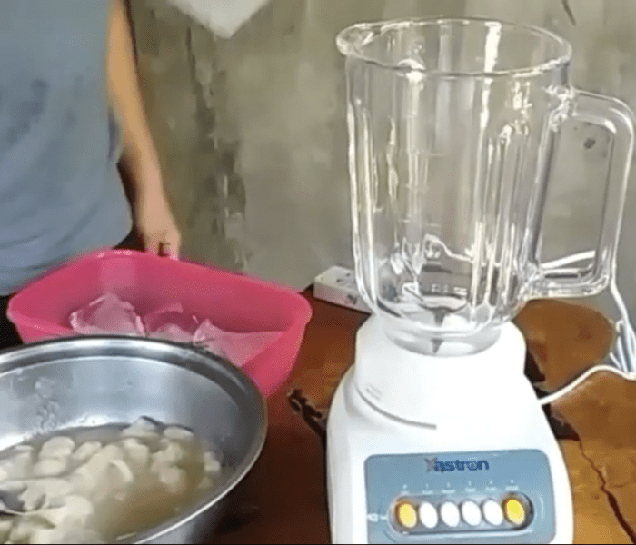 How to Make a Guyabano (Soursop) Shake Delishably