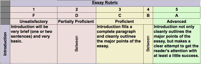 Sample Rubric #1: The basic five-step, performance-based rubric (only one row).