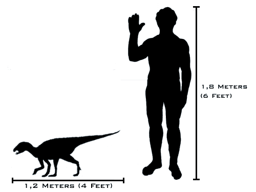 If the asteroid had missed, then it's likely that dogs would have never evolved. Instead the charismatic Heterodontosaurus may have become our best friend.