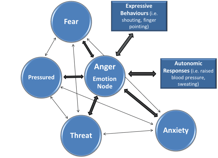The Semantic Network Theory model attempts to explain the effects of MCM and MDM in emotion and memory