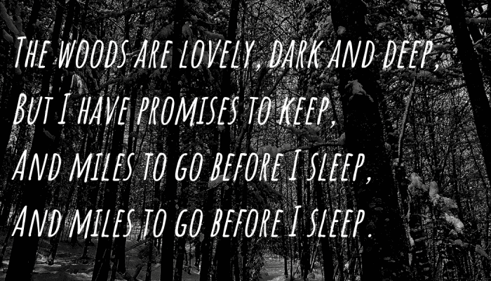 The haunting fourth stanza includes a repeated line and leaves readers with a sense of morbid wonder.