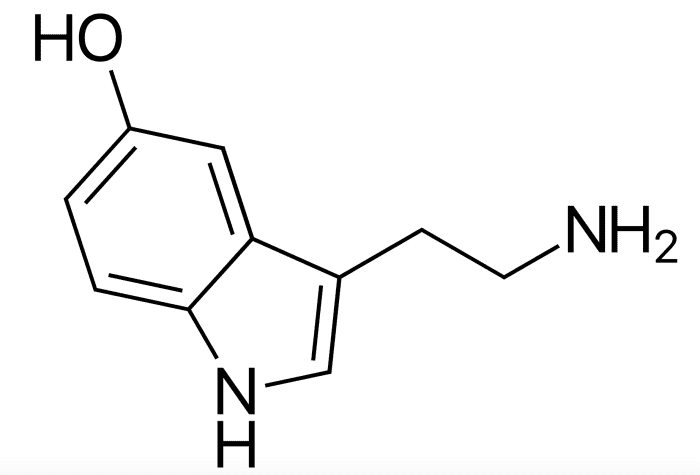 The Psychology of MDMA: Why Does It Feel So Magical? - Owlcation