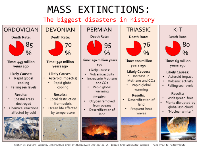 Mass Extinctions, the biggest "disasters" in history, happening at the right times and in the right amounts may have actually promoted the development of intelligent life.