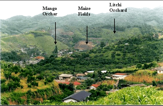 What I believe is a picture of Lin Village, but I might be wrong. Regardless, a Chinese (or Taiwanese) village.