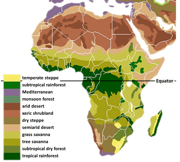 Vegetation map of Africa