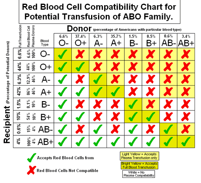 The Basics Of Blood And Blood Typing - HubPages