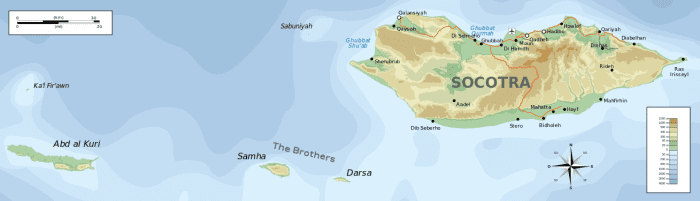 There are four islands in the Socotra Archipelago. Socotra Island is by far the biggest land mass in the group.