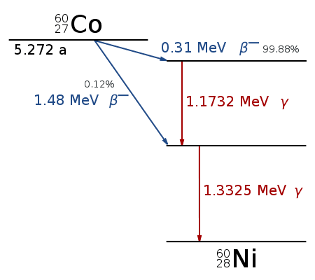 The decay scheme for cobalt-60. The cobalt decays through beta decay followed by gamma ray emission to reach the stable state of nickel-60. Other elements have much more complex decay chains.