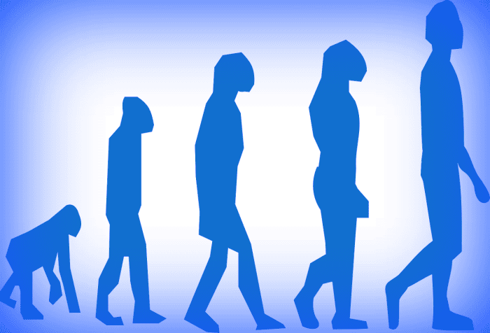 This linear representation of the evolution of homo-sapiens is not scientifically accurate--. Neanderthals are not our grandfathers; they are our cousins.