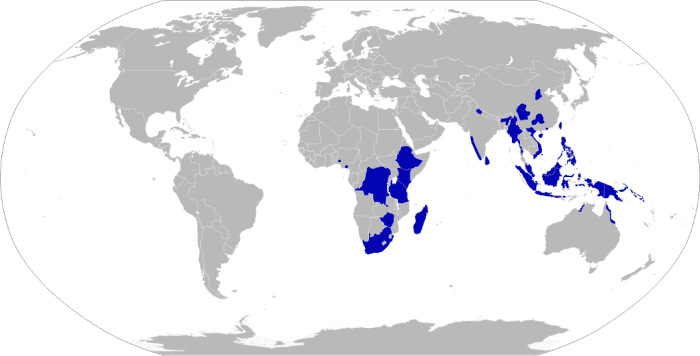 There are over 40,000 types of spiders in the world, found on every continent except Antarctica, but if you don't live in one of the areas in blue on this map, you may never get to see a Portia spider.