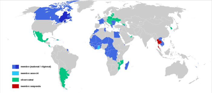 The Francophonie is a surprisingly large organization. The level of French spoken there varies by country of course, but it still demonstrates its influence.