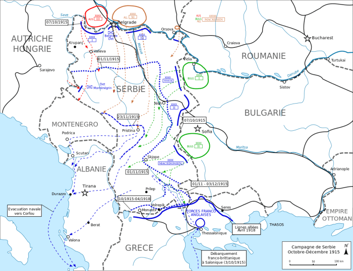 The Salonika front, which came after the failure of Gallipoli, attempted to reinforce the Serbians, to little avail.