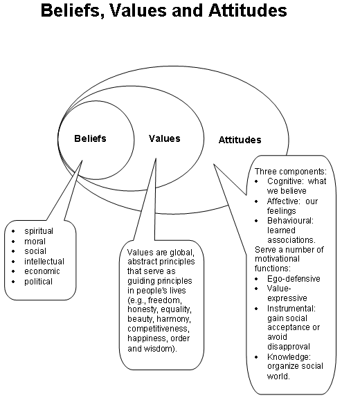 the-relationship-between-beliefs-values-attitudes-and-behaviours