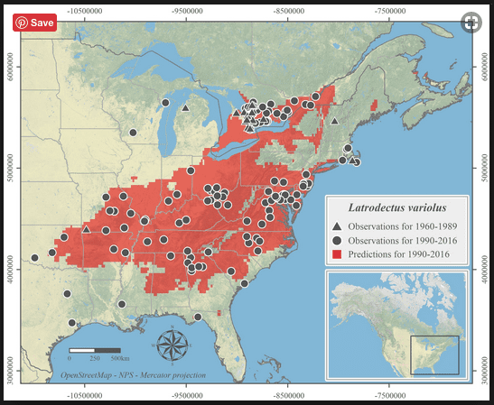 The range of the Northern Black Widow spider.