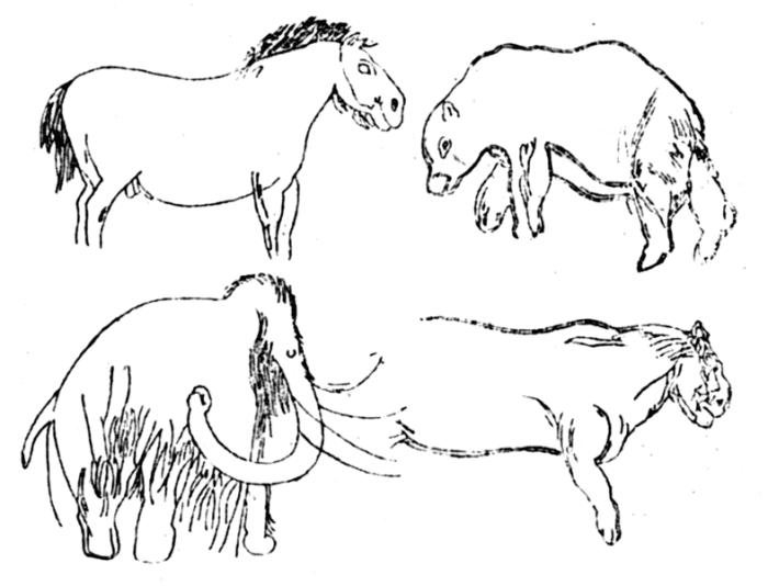 These are wall drawings from the Les Combarelles cave in the Dordogne. The cave bear is the creature in the top right; beneath it is the cave lion.