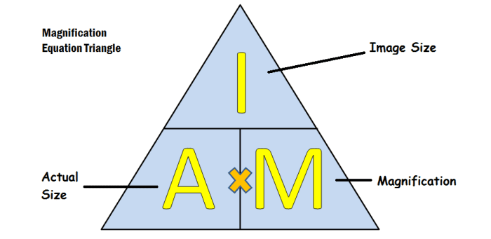 This formula triangle makes magnification calculations simple. Just cover the variable you are looking to calculate and the equation needed is shown.