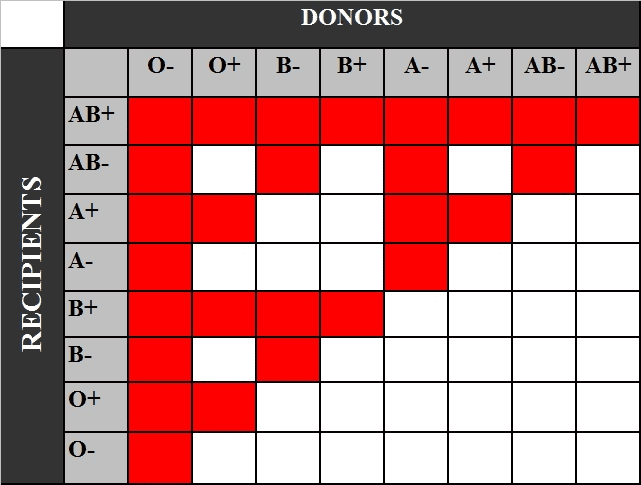 The ABO Blood System and the Most Common Blood Type - Owlcation