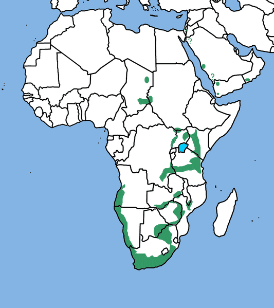 Range of Verreaux's Eagle in green
