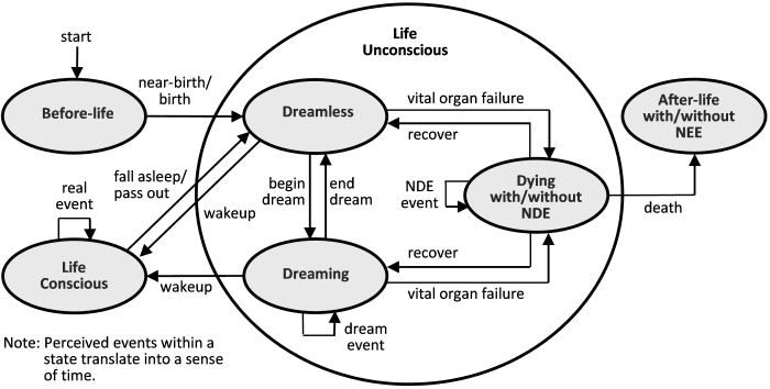 Major states and transitions in life--an abstraction where dreaming and the NDE are given more prominence. A state is represented as an oval and a transition as a directed line, labelled with an event that causes the transition.