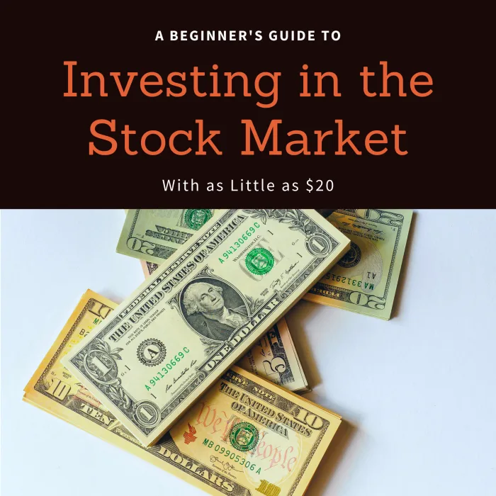 how to invest in stocks for beginners with little money Sahzad Husain