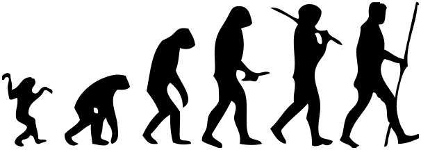 Evolution has allowed human beings to stand upright, walk on two feet, and grip tools and weapons.