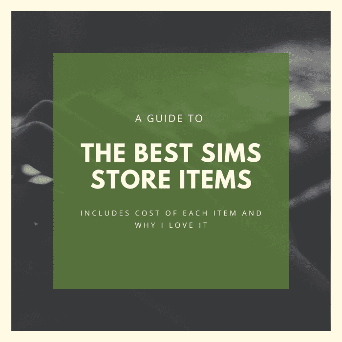 Not sure what to buy in the Sims store? Here's a look at 15 of the best available items for your purchase with SimPoints.